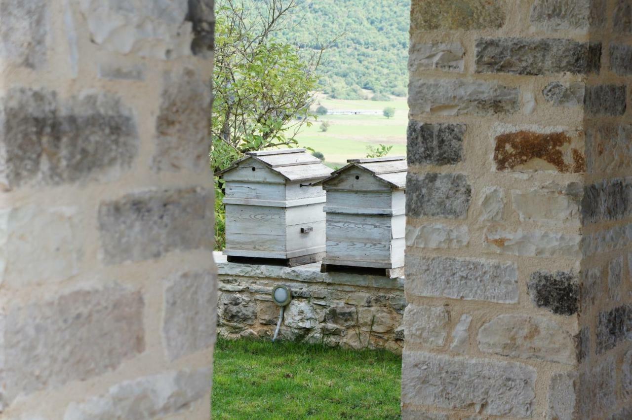 "Apeiros Chora" Hotel, Zagori Kato Pedina Extérieur photo